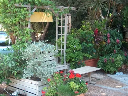 גינות לגלריה 9